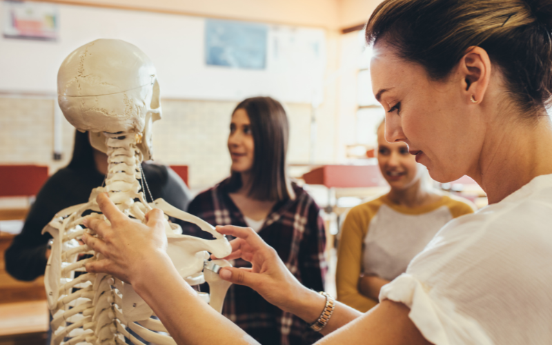 physio mädchen skelett
