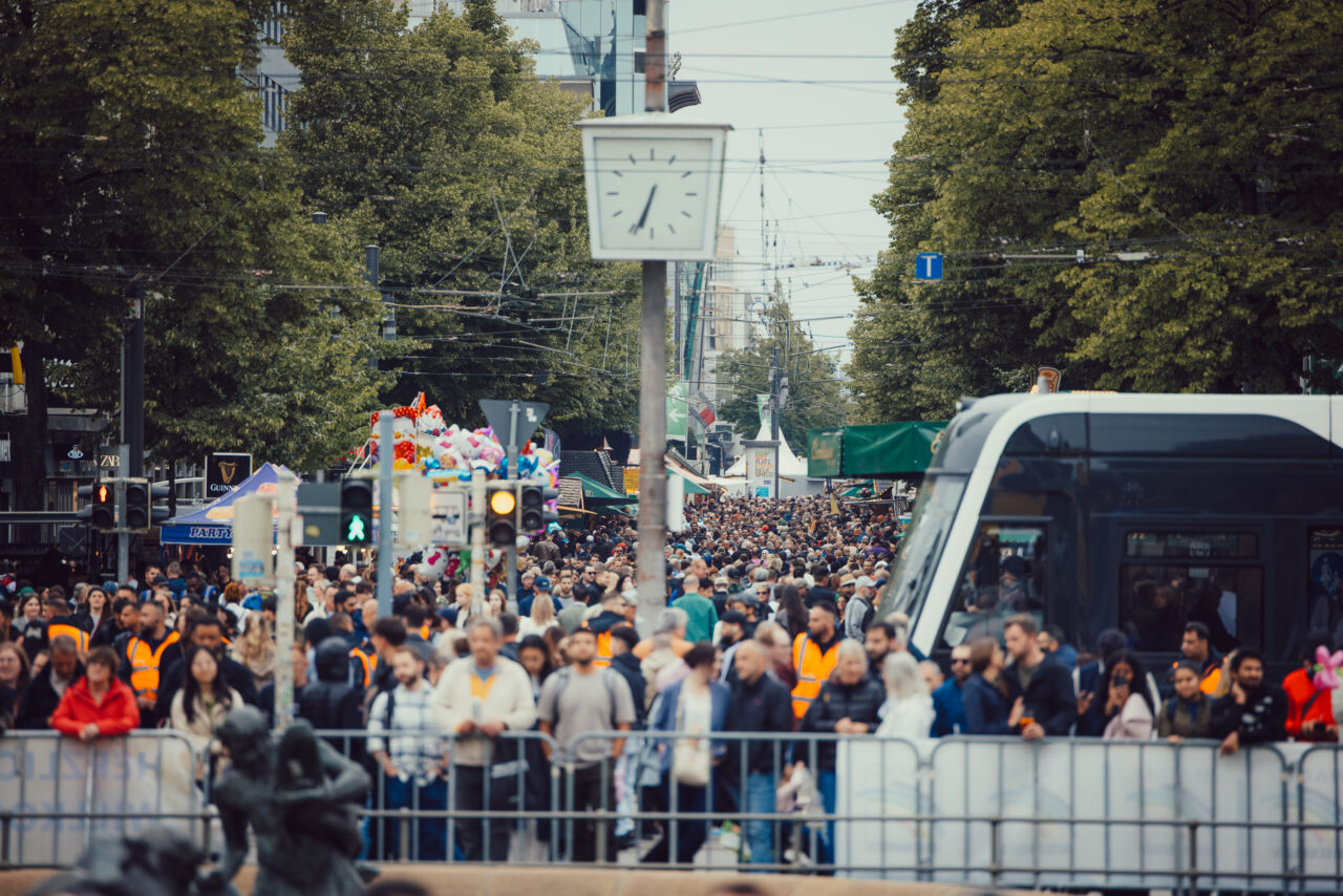 Stefan Schreier / stefschreier.de