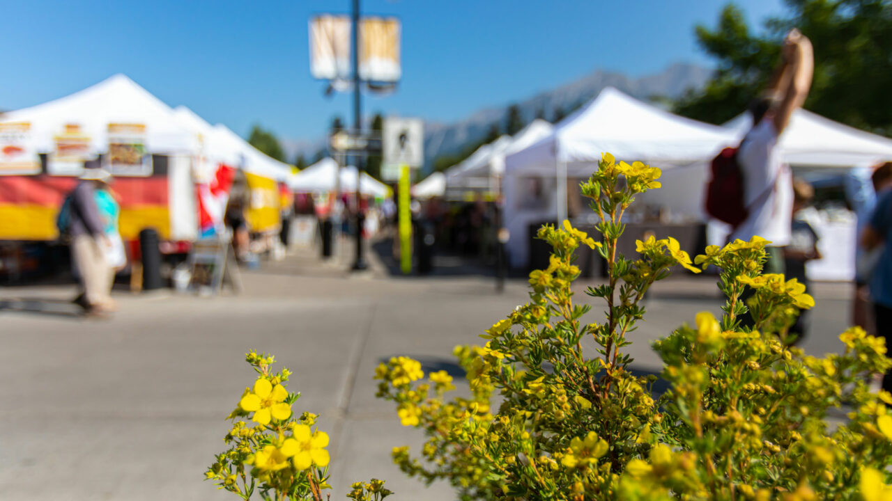 gelbe Blüten vor weissen Zelten auf der RLP-Ausstellung in Mainz
